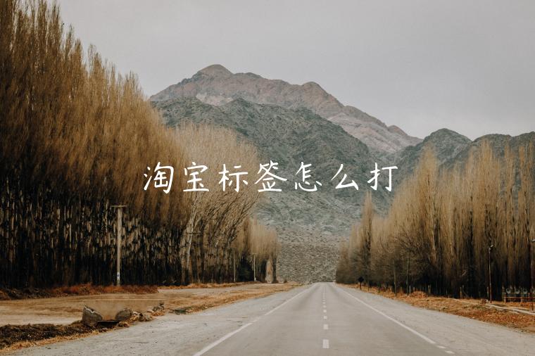 淘寶標(biāo)簽怎么打